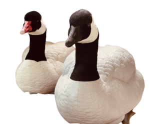 EVA Geese decoys